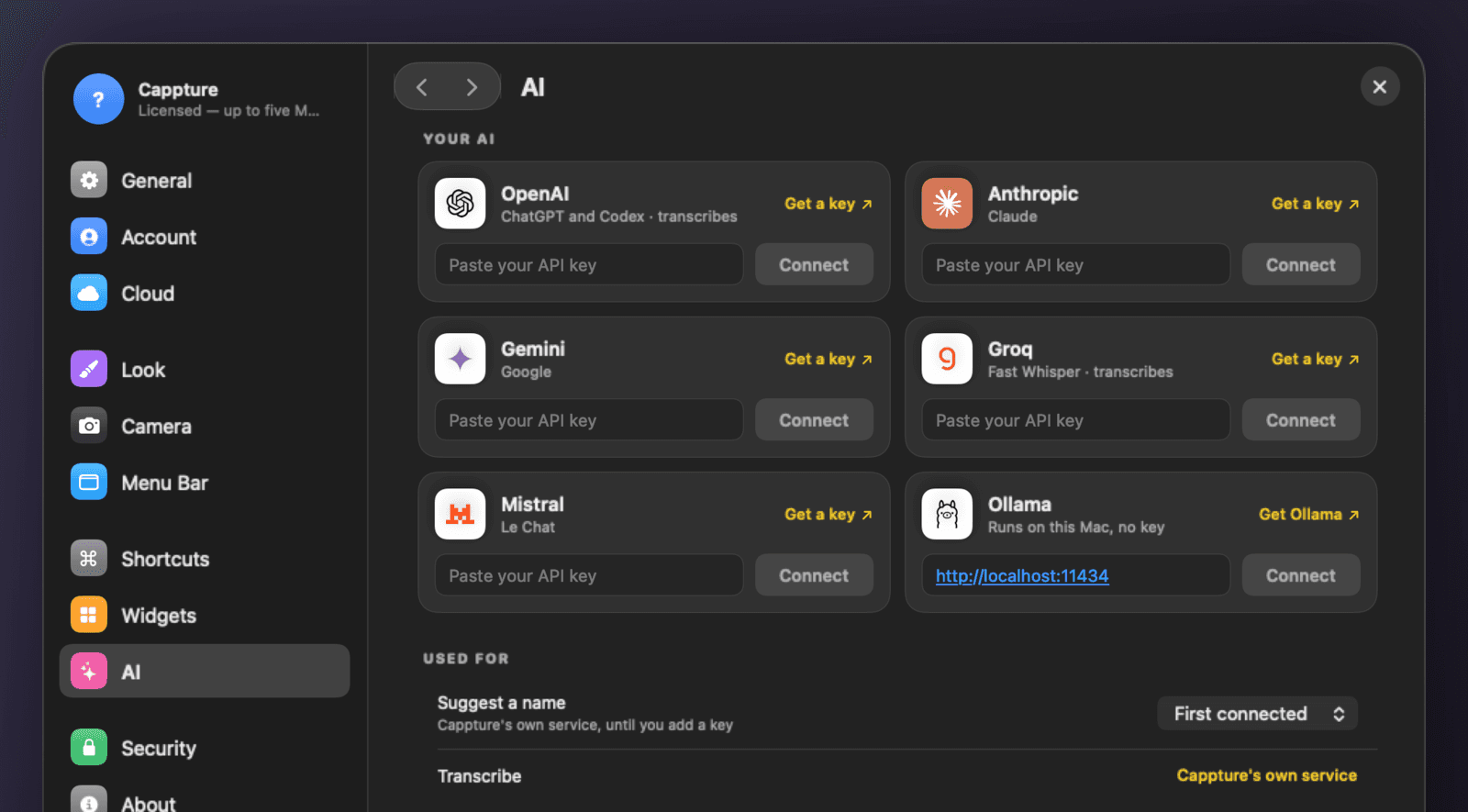 Cappture's Settings, the AI page: AI tools can ask Cappture, what they can read, the connected apps and their requests